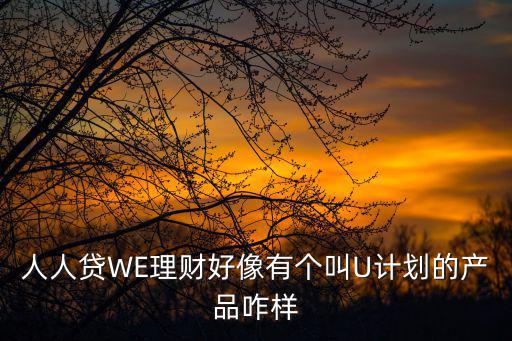 人人貸WE理財好像有個叫U計劃的產(chǎn)品咋樣
