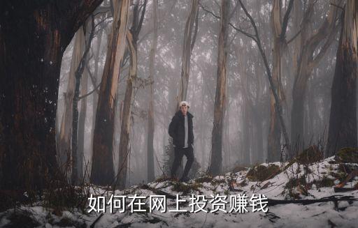 投資網(wǎng)站怎么賺錢，網(wǎng)站投入如何達(dá)到盈利