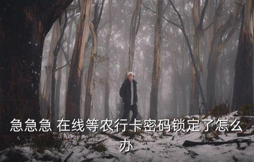 農(nóng)業(yè)卡密碼鎖了怎么辦，農(nóng)行卡卡出現(xiàn)密碼鎖怎么辦