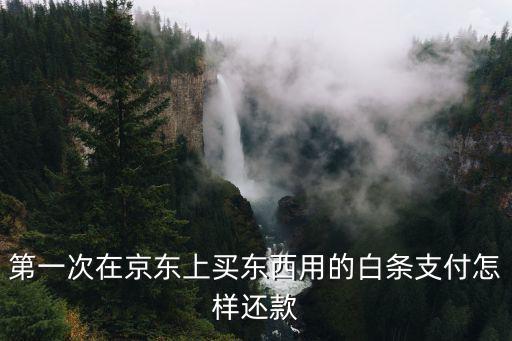 第一次在京東上買東西用的白條支付怎樣還款