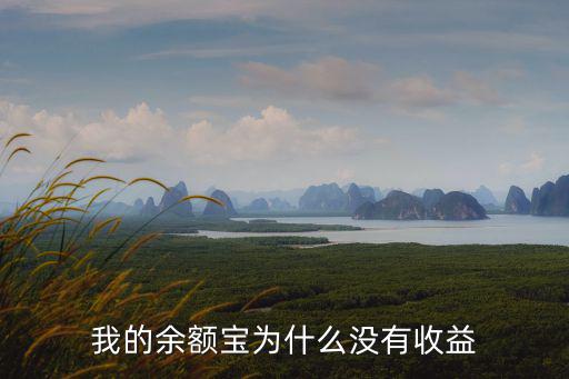 余額寶怎么沒有收益了，為什么我的余額寶為什么一直沒有收益已經(jīng)一周了