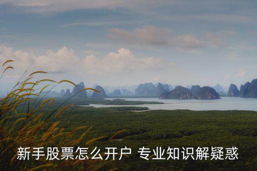 股票入門怎么開戶，新手股票怎么開戶 專業(yè)知識(shí)解疑惑