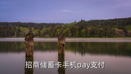 招商儲蓄卡手機pay支付