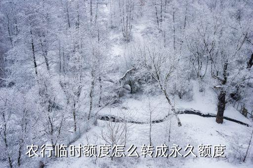 農(nóng)行臨時額度怎么轉(zhuǎn)成永久額度