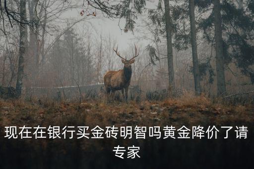 現(xiàn)在在銀行買(mǎi)金磚明智嗎黃金降價(jià)了請(qǐng)專家