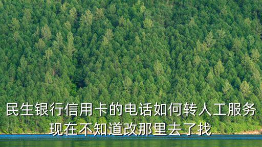 民生銀行信用卡的電話如何轉(zhuǎn)人工服務(wù)現(xiàn)在不知道改那里去了找