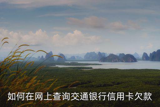 交行怎么查欠款，交行信用卡怎樣查欠款