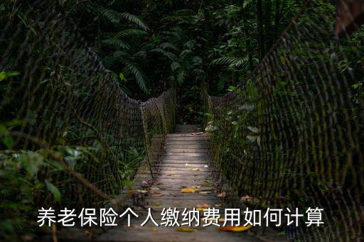 養(yǎng)老保險(xiǎn)個(gè)人繳納費(fèi)用如何計(jì)算