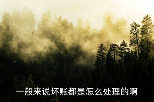 一般來說壞賬都是怎么處理的啊