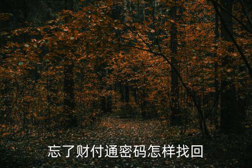 財(cái)付通密碼忘記了怎么找回，我扣扣財(cái)付通支付密碼忘了 如何找回重新設(shè)置支付密碼