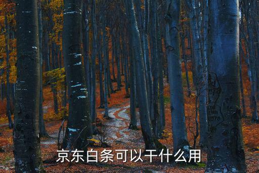 京東白條可以干什么用