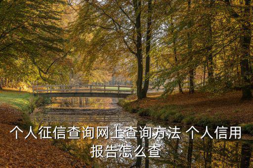個(gè)人信用證明怎么查詢系統(tǒng)，個(gè)人怎么查詢自己的征信系統(tǒng)呢