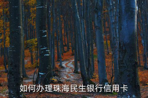 怎么辦理民生銀行信用卡，如何辦理珠海民生銀行信用卡