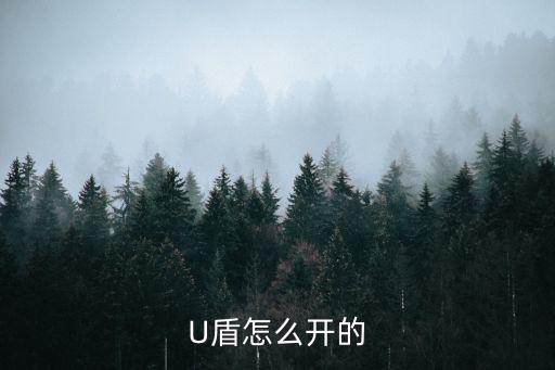 U盾怎么開的