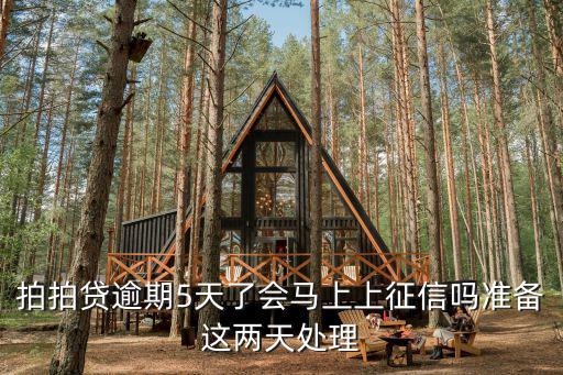 拍拍貸逾期5天了會馬上上征信嗎準(zhǔn)備這兩天處理