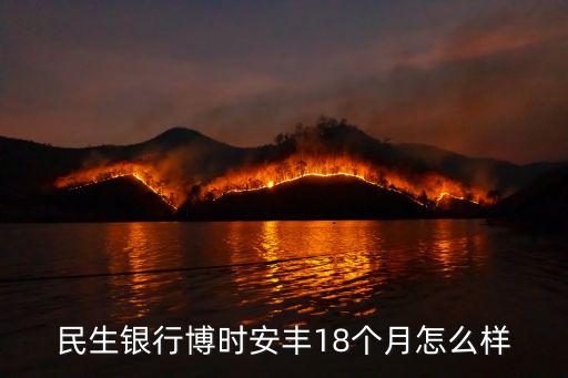 民生銀行博時安豐18個月怎么樣