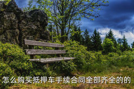 怎么購(gòu)買(mǎi)抵押車(chē)手續(xù)合同全部齊全的的