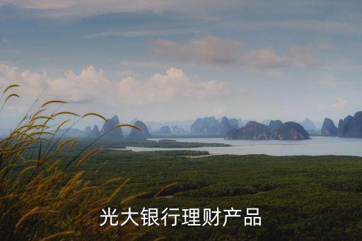 光大銀行理財產(chǎn)品