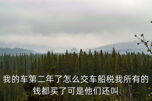 我的車第二年了怎么交車船稅我所有的錢都買了可是他們還叫