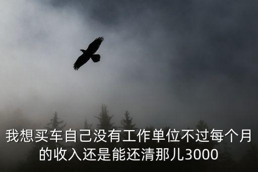 我想買車自己沒有工作單位不過每個(gè)月的收入還是能還清那兒3000