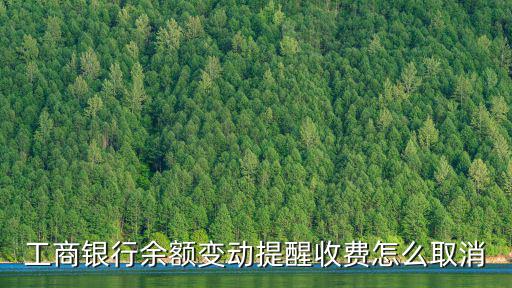 工行余額變動提醒怎么取消，怎么取消工行網(wǎng)銀里面的工銀信使業(yè)務(wù)余額變動提醒