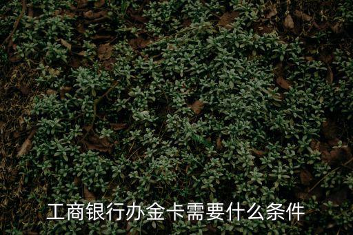 工商銀行辦金卡需要什么條件