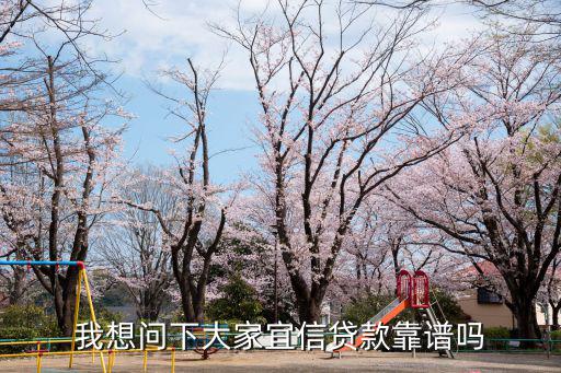 我想問(wèn)下大家宜信貸款靠譜嗎