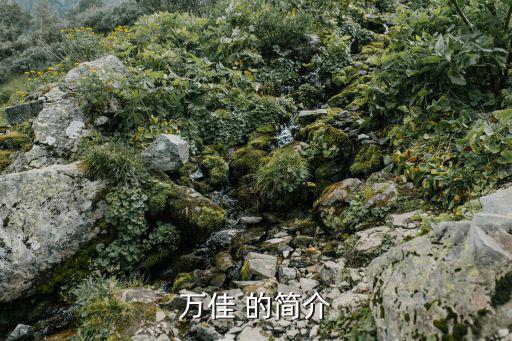 上海萬佳投資股份有限公司怎么樣，福臨萬佳生物科技有限公司怎么樣