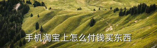 手機(jī)淘寶上怎么付錢(qián)買東西