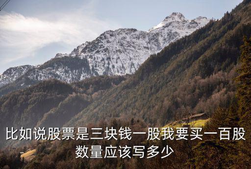 比如說股票是三塊錢一股我要買一百股數(shù)量應該寫多少