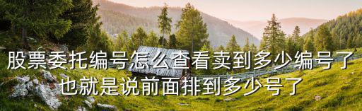 股票委托數(shù)量怎么寫，股票五檔后顯示的數(shù)字表示是委托數(shù)量嗎單位是萬手嗎還是萬股