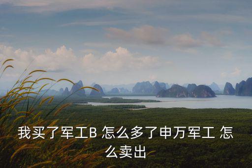 我買了軍工B 怎么多了申萬軍工 怎么賣出