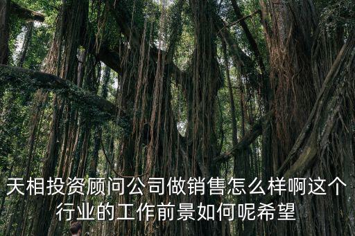 天相投資顧問公司做銷售怎么樣啊這個(gè)行業(yè)的工作前景如何呢希望