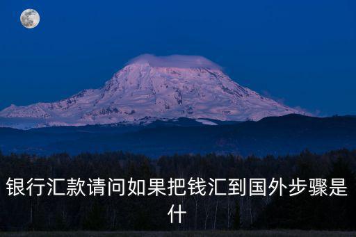 往國外匯款怎么匯，國內往國外匯款怎么匯