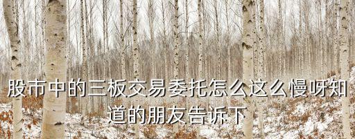 股市中的三板交易委托怎么這么慢呀知道的朋友告訴下
