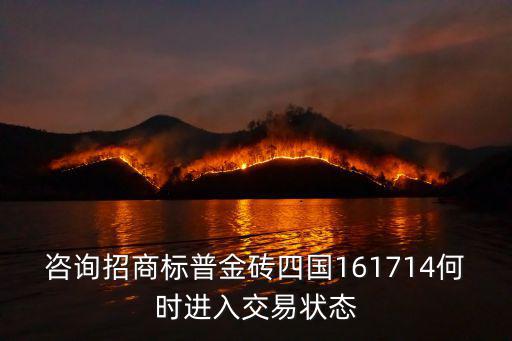 咨詢招商標(biāo)普金磚四國(guó)161714何時(shí)進(jìn)入交易狀態(tài)
