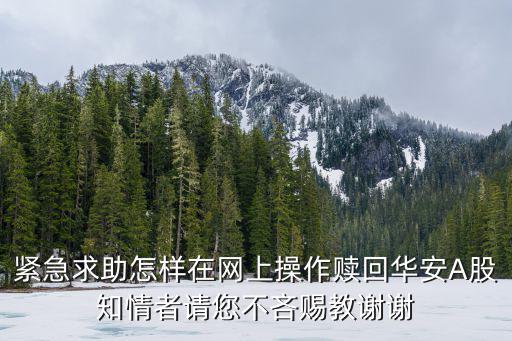 華安創(chuàng)新怎么贖回，緊急求助怎樣在網(wǎng)上操作贖回華安A股知情者請您不吝賜教謝謝