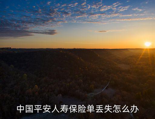 平安保單丟了怎么補(bǔ)辦，平安強(qiáng)制車險(xiǎn)險(xiǎn)單丟了補(bǔ)單流程是怎么樣