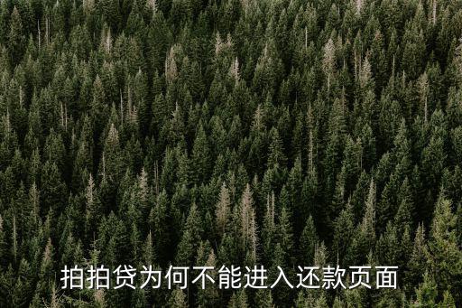拍拍貸為何不能進(jìn)入還款頁面