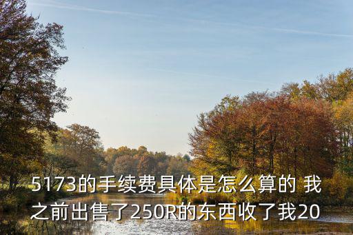 5173的手續(xù)費(fèi)具體是怎么算的 我之前出售了250R的東西收了我20