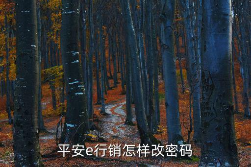 平安e行銷網(wǎng)怎么修改密碼，平安e行銷怎樣改密碼