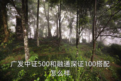 廣發(fā)深證100指數(shù)基金 怎么樣，廣發(fā)納指100這個(gè)基金怎么樣