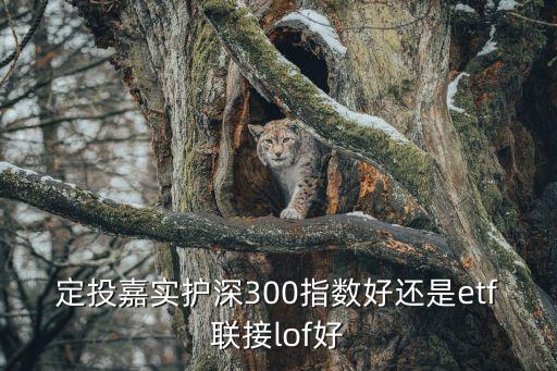 嘉實滬深300etf聯(lián)接lof怎么樣，定投嘉實護深300指數(shù)好還是etf聯(lián)接lof好