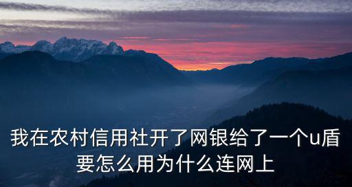 我在農(nóng)村信用社開了網(wǎng)銀給了一個u盾要怎么用為什么連網(wǎng)上