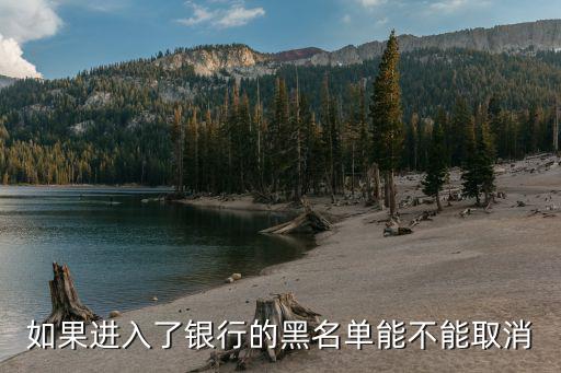如果進(jìn)入了銀行的黑名單能不能取消