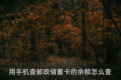 網(wǎng)上怎么查詢郵政銀行卡余額，用手機查郵政儲蓄卡的余額怎么查