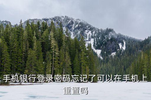 手機銀行登錄密碼忘記了可以在手機上重置嗎