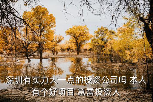 深圳凱豐投資怎么樣，深圳有實力大一點的投資公司嗎 本人有個好項目 急需投資人