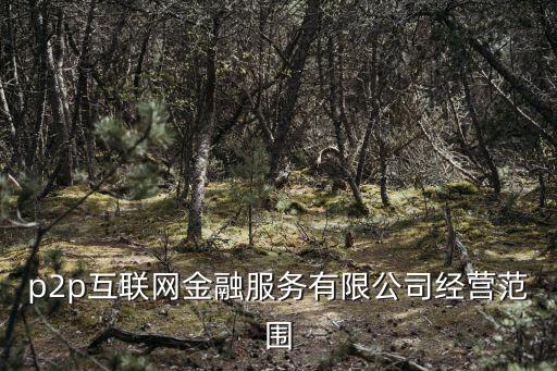 p2p互聯(lián)網(wǎng)金融服務(wù)有限公司經(jīng)營范圍