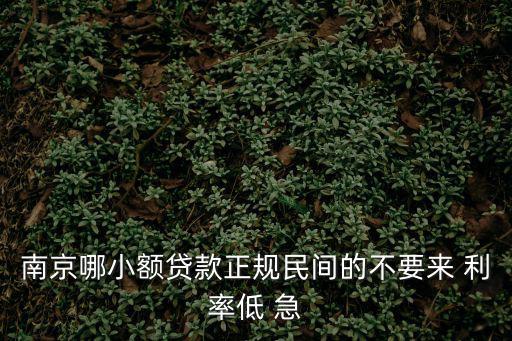 南京哪小額貸款正規(guī)民間的不要來 利率低 急